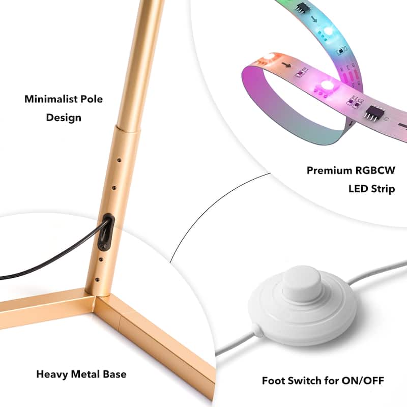 56" Gold LED Novelty Floor Lamp with Remote