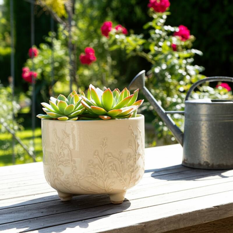Ceramic Stoneware Planter with Raised Botanical Texture Footed Base