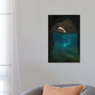iCanvas "The Rest Of The Mermaid" by Paolo Lazzarotti Canvas Print