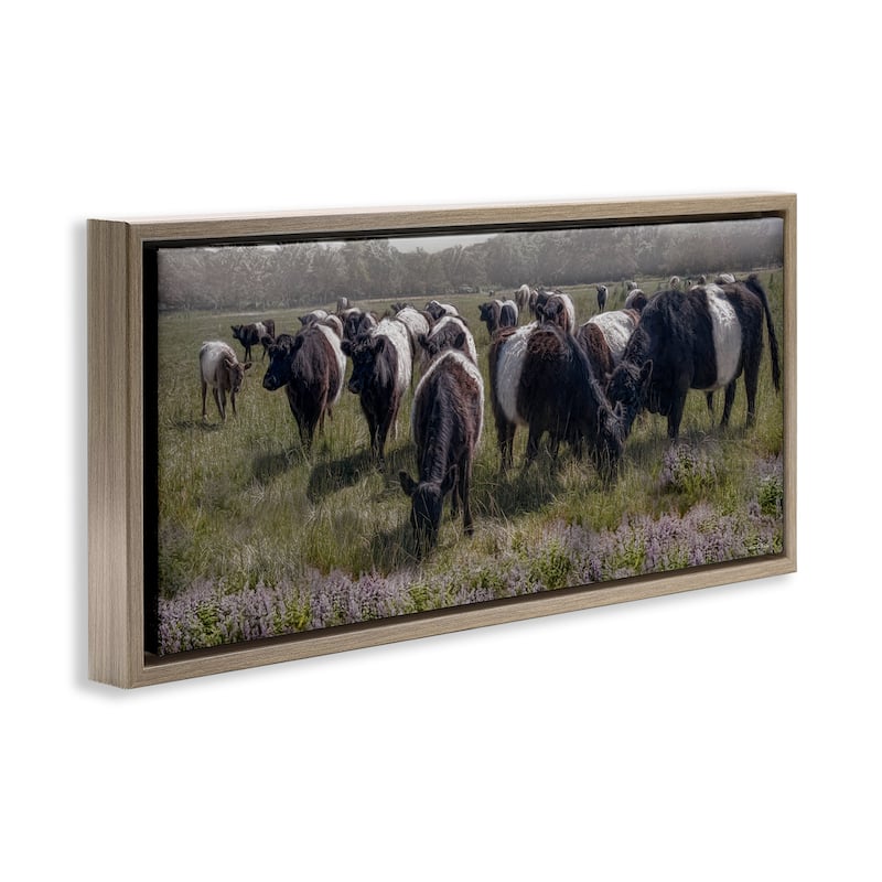 Stupell Black Cows Grazing in Pasture Framed Floater Canvas Wall Art Design By Robin-Lee Viera
