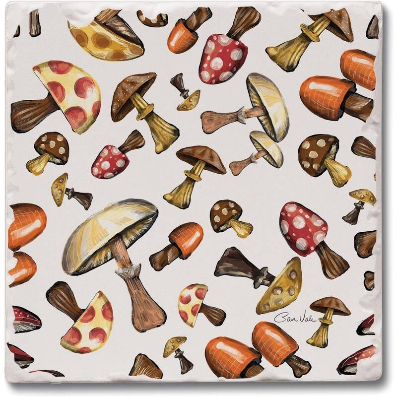 Mushroom Harvest 4-Pack Tumbled Tile Stone Coasters with Protective Cork Backing Manufactured in The USA - Multi-Color