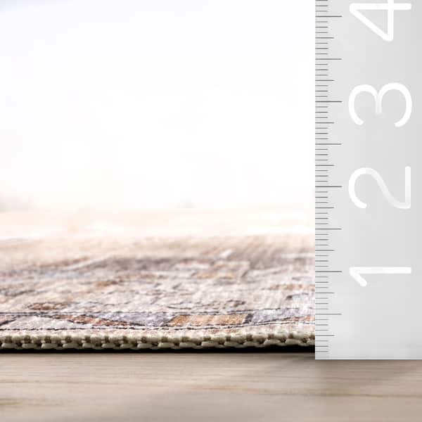 dimension image slide 0 of 3, Nuloom Pavani SplashGuard Vintage Bordered Machine Washable Area Rug
