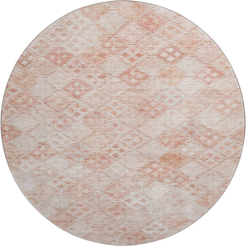 Premium Washable Super Soft Global Boho Mayfield Rug