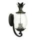 Option Black Coral