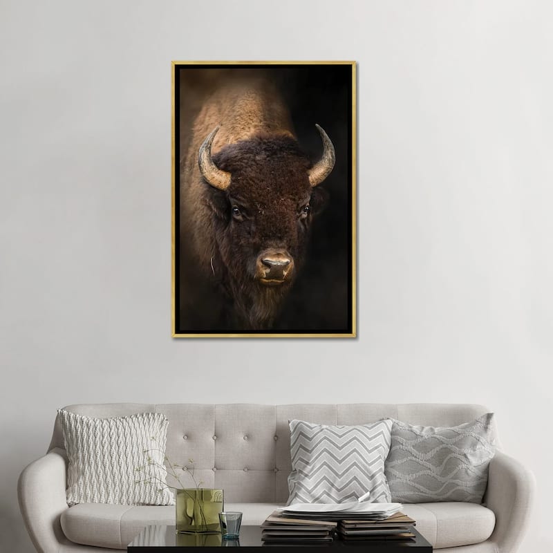 iCanvas "Bison In Light" by Patsy Weingart Framed Canvas Print