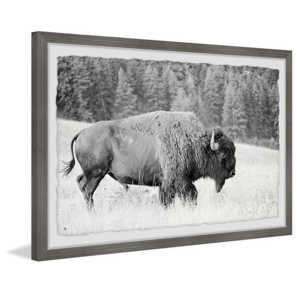 Buffalo Grazing Framed Wall Art, Elegant Home Touch - Sophisticated Artwork for Refined Décor