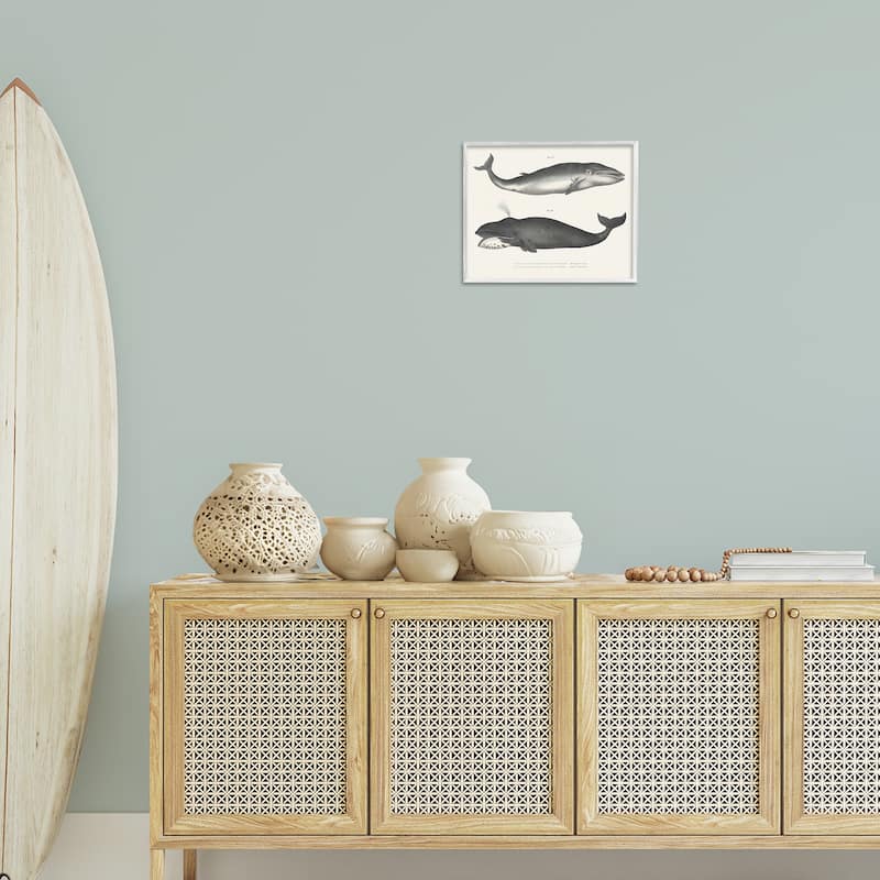 Stupell Vintage Whale Study Diagrams Framed Giclee Art Design By Phillipa Katz