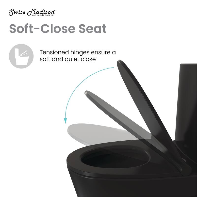 Tours One-Piece Elongated Toilet Vortex Dual-Flush 1.1/1.6 Gpf, Matte Black - 29.2" x 14.95" 28.4"