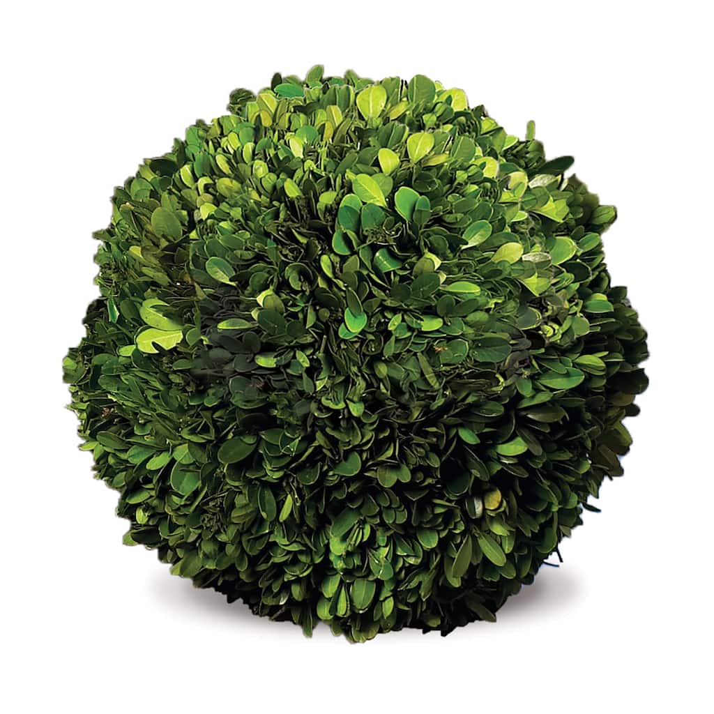Boxwood Ball 12" - Green