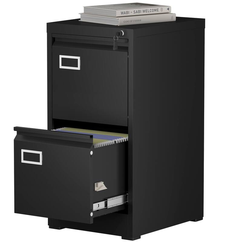 Modern 2-Drawer Filing Cabinet, Vertical File Cabinet with Lock and Silent Slide Rail Adjustable Rod, for Home Office