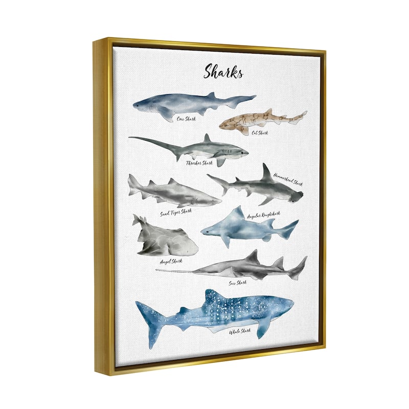 Stupell Nautical Shark Chart Watercolor Marine Animals Floater Frame - White
