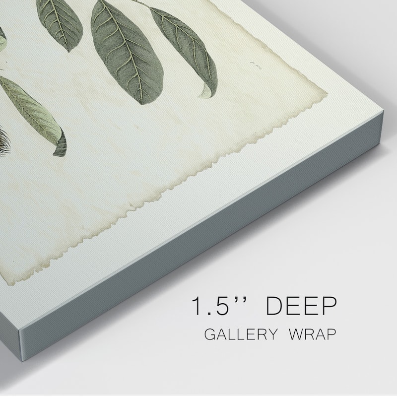 Delicate Botanical III Premium Gallery Wrapped Canvas - Ready to Hang