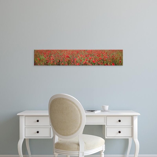 Easy Art Prints Panoramic Images's 'Field of poppies in bloom, Saint