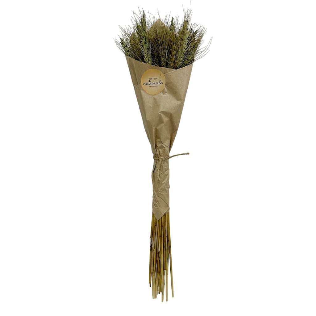 Wheat Grass Artificial Plant in Wrap - 23.5" - Moss Green