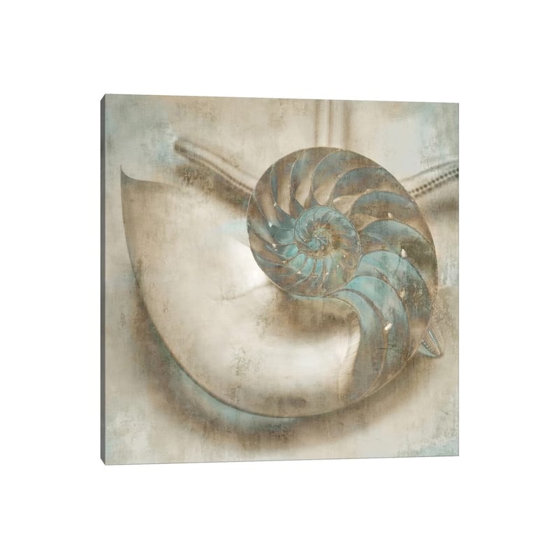 iCanvas "Coastal Gems IV" by John Seba Canvas Print