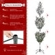 preview thumbnail 81 of 131, Glitzhome 6FT/7.5FT/9FT/11FT Snow Flocked Pre-lit Artificial Fir Christmas Trees