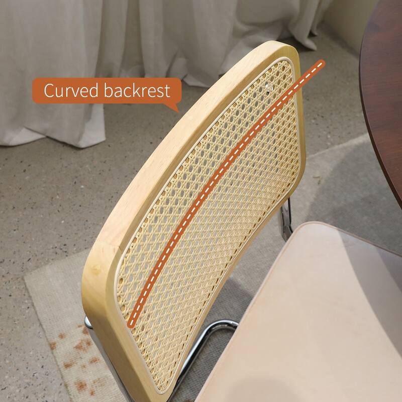 Dining Chair Side Chair Leisure Chair Set of 2 Kitchen Chair Reception Chair Armless Chair with Metal Legs