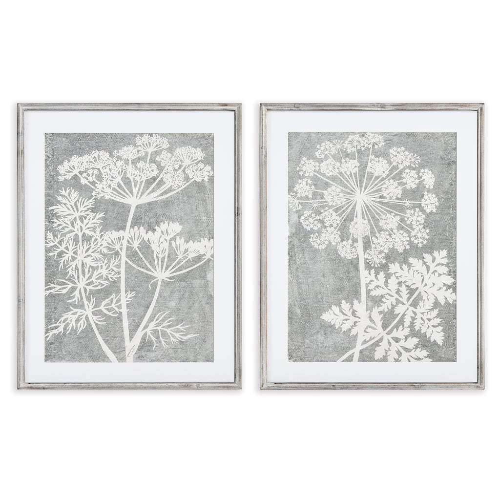 Blooming Queen Anne'S Lace Prints