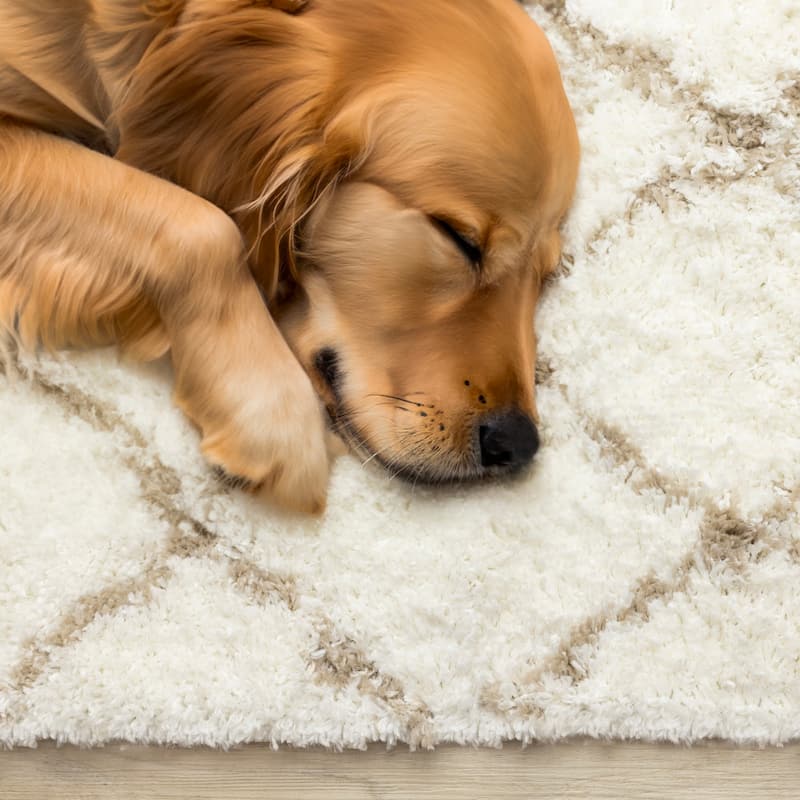 Modern Geometric Soft Shag Rug in Cream Beige