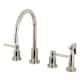 Option Polished Nickel