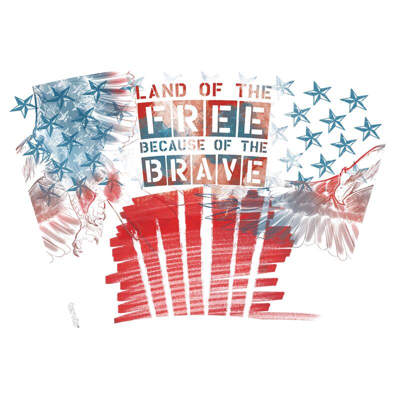 Tervis Home of the Free Because of the Brave Eagle Made in USA Double Walled Insulated Travel Tumbler, Classic