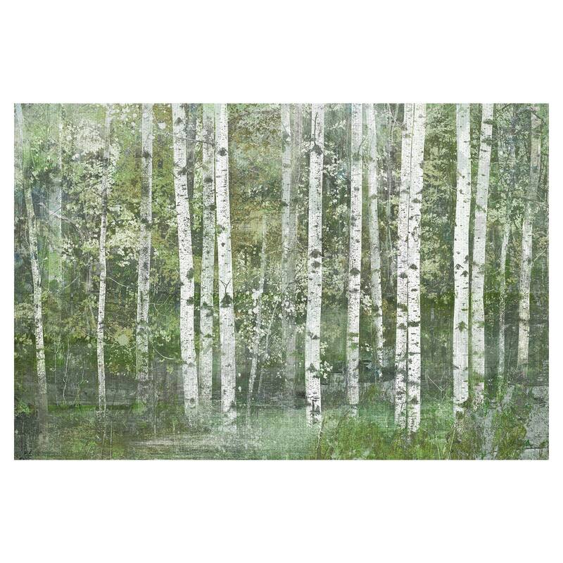 Birch Dream by Willowbrook Fine Art Canvas Art Print