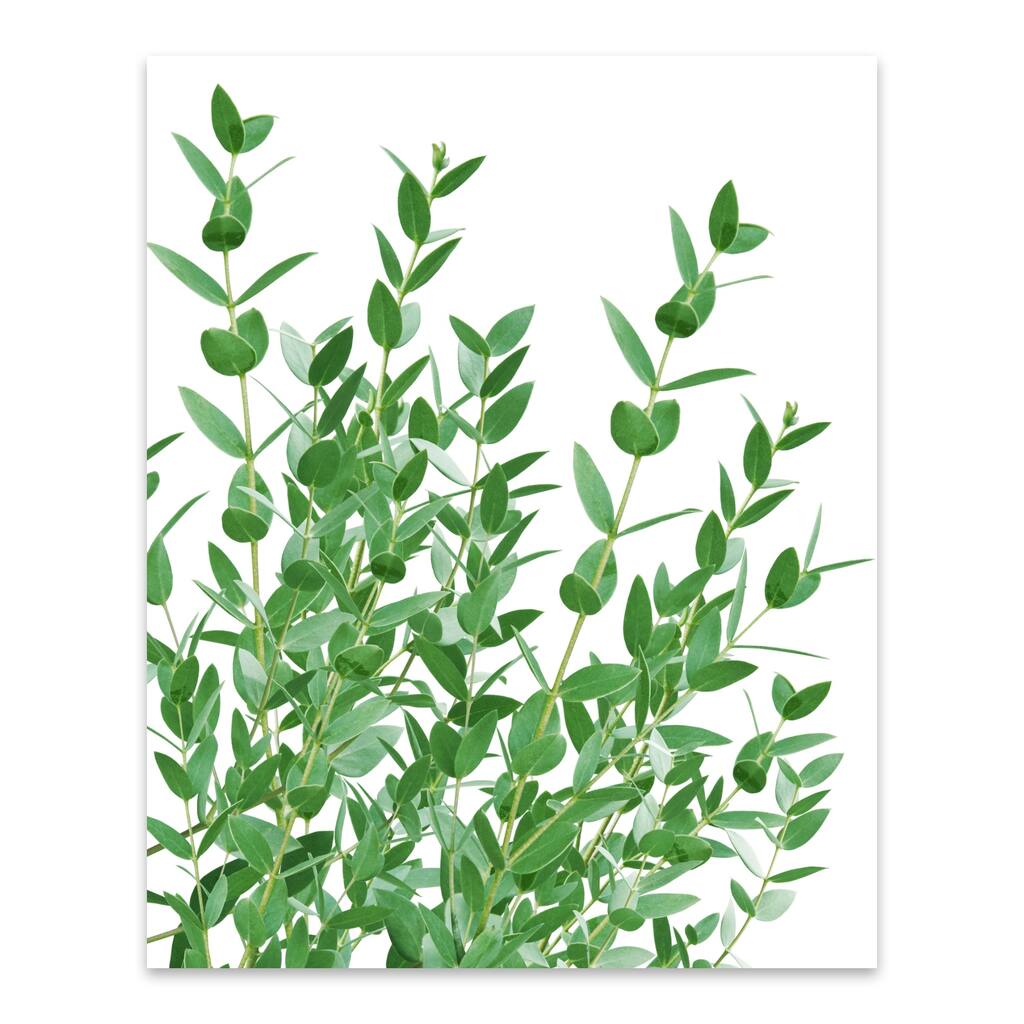 Botanical Botany Floral Botanical Metal Wall Art Print