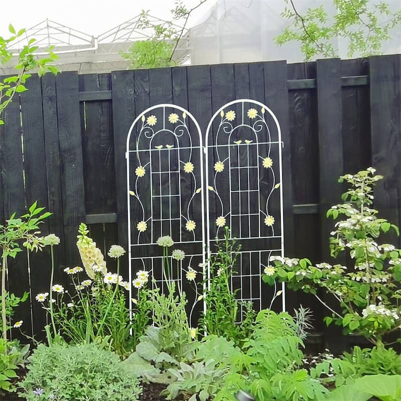 4 Pcs Rustproof Metal Garden Trellis for Climbing Plants