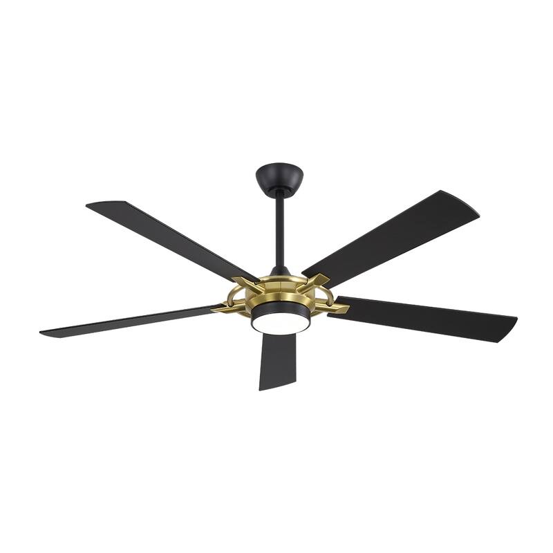 MLiAN 60 In. 5-Plywood Blades Indoor Ceiling Fan with Light Kit and Remote