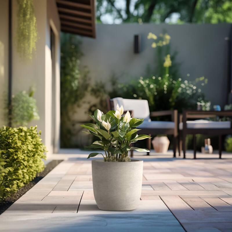 Tall Concrete Round Plant Pots / Large Indoor and Outdoor flower Planters