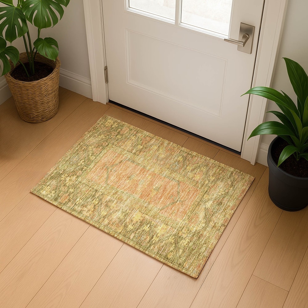 Premium Washable Super Soft Traditional Global Mayfield Rug