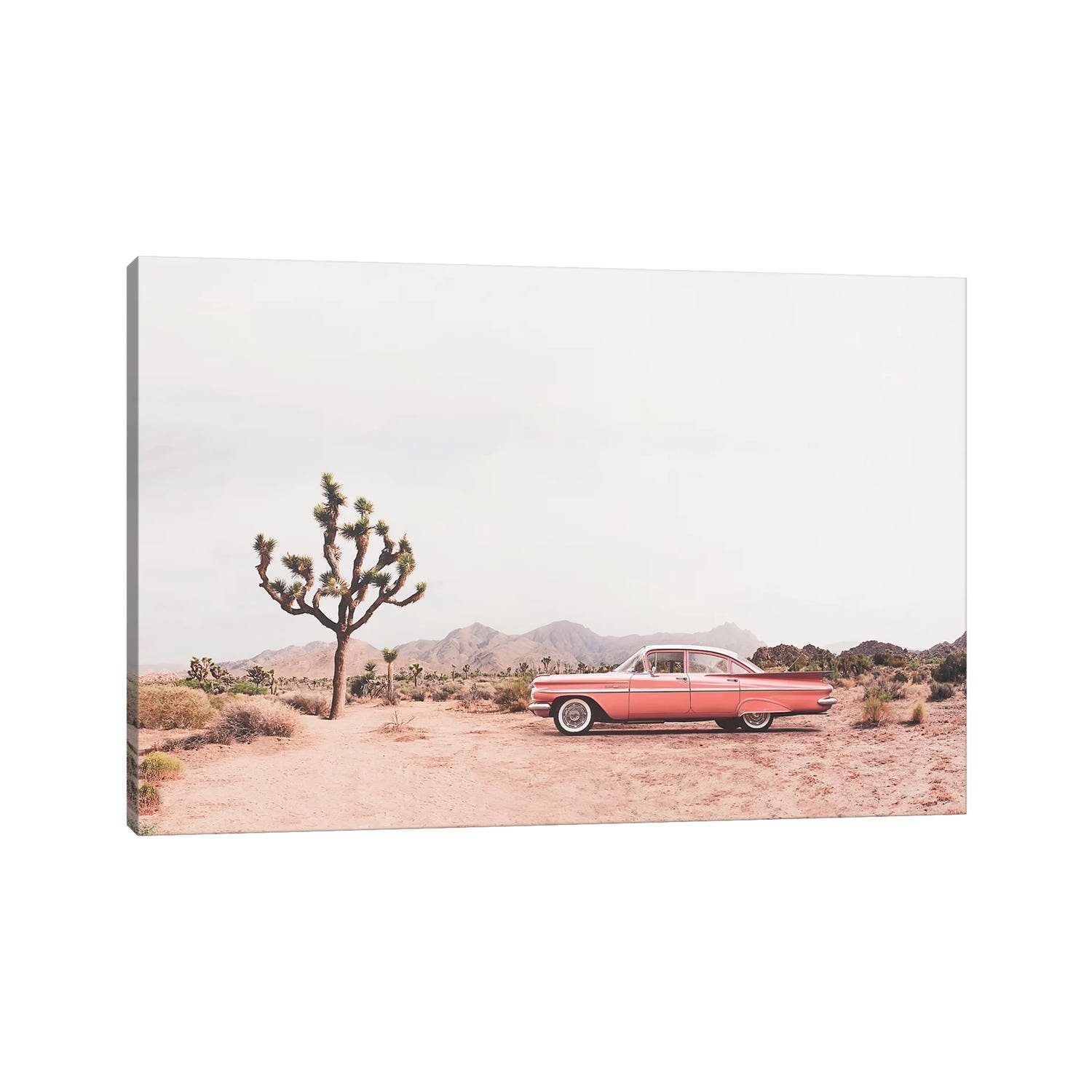 iCanvas "In the desert" by Sisi & Seb Canvas Print