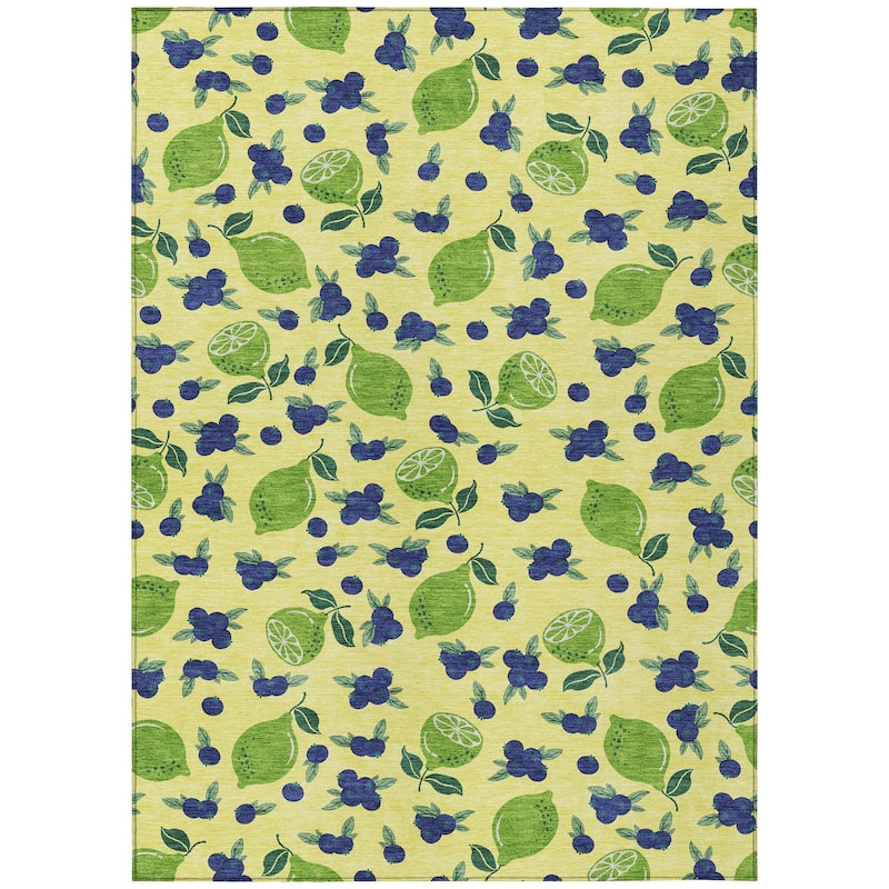 Machine Washable Indoor/ Outdoor Citrus Berry Chantille Rug