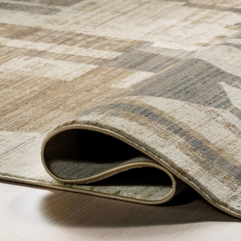 Bheri Abstract Area Rug