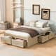 Option Antique Natural