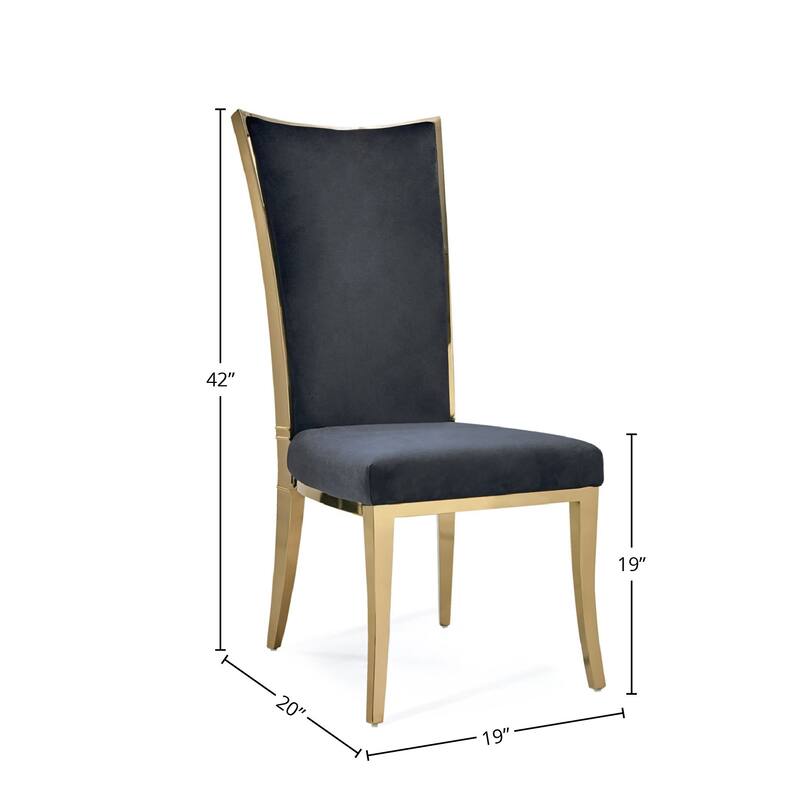 Massimo Titanium Gold Stainless Steel Dining Chair, Set of 2