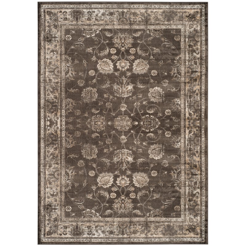 SAFAVIEH Helve Vintage Distressed Boho Oriental Area Rug