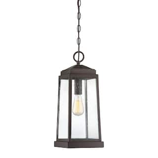 Ravenel 1-Light Outdoor Hanging Lantern in Western Bronze