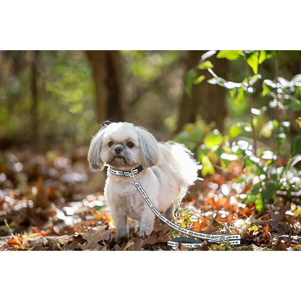 heavy duty cat harness