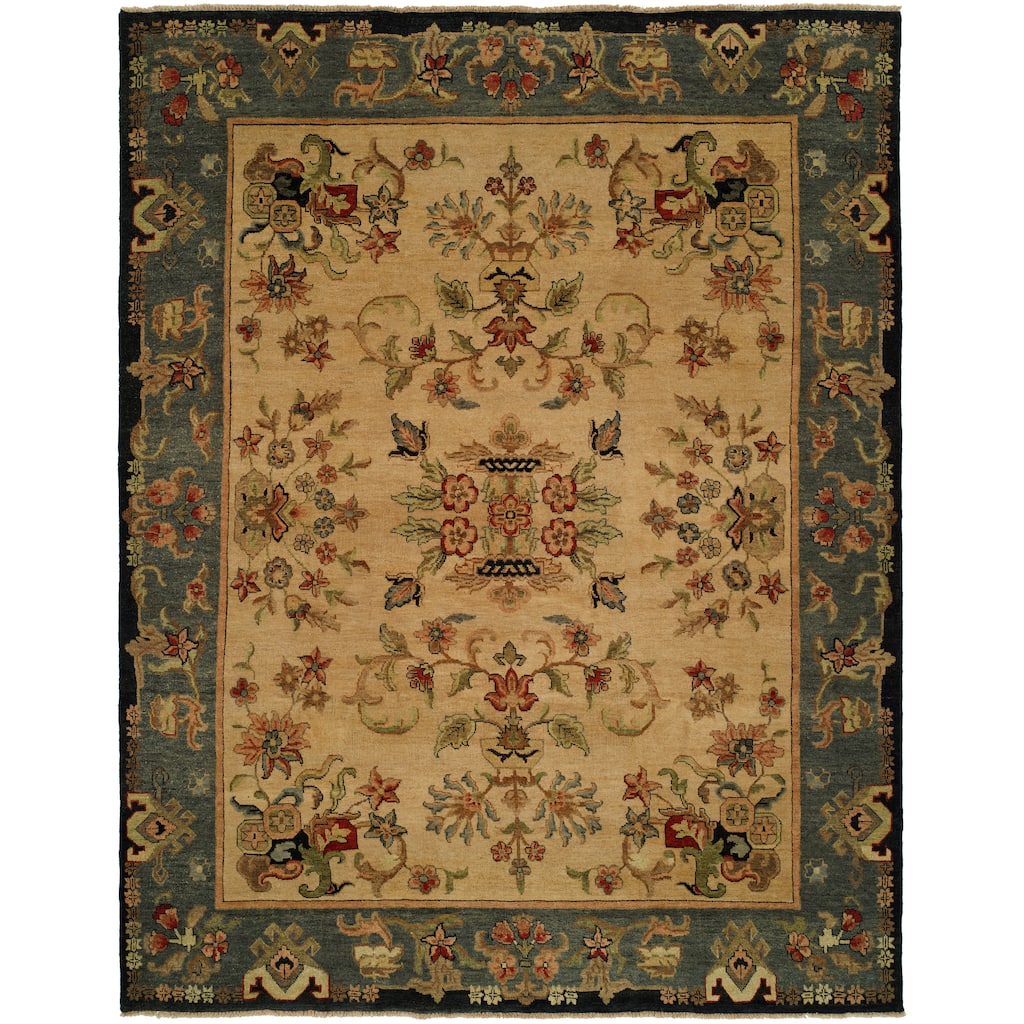 Transitional Multi-Colored Hand-Knotted Wool Area Rug