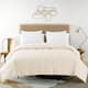 Option Ivory