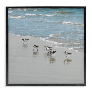 Stupell Sandpipers on Shore Reflection Framed Giclee Art by Natalie ...