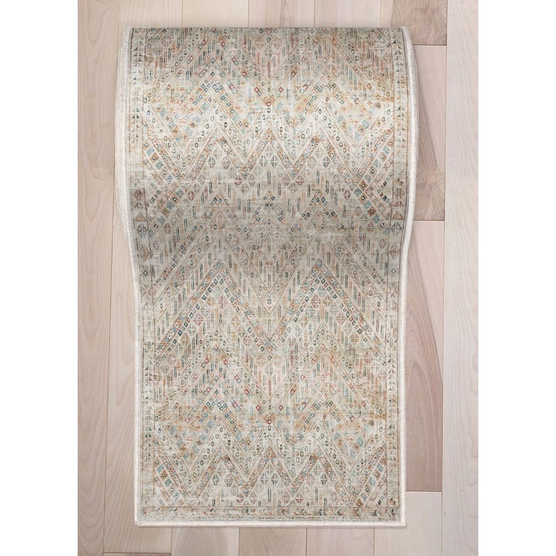 Well Woven Asha Vintage Anya Machine Washable Area Rug