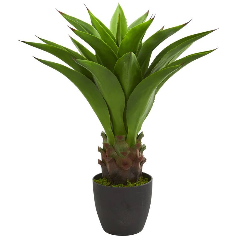 Artificial Thick Agave Potted Plant - 2.5'
