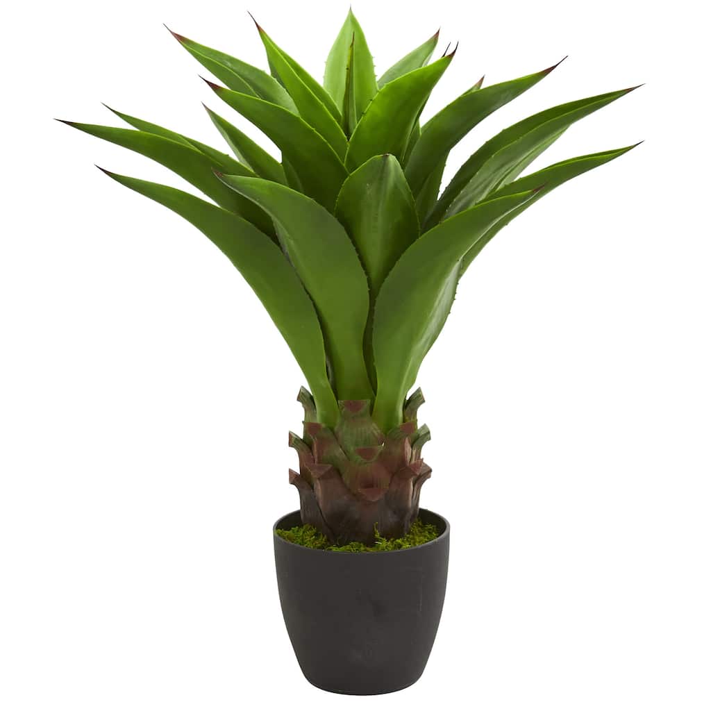Artificial Thick Agave Potted Plant - 2.5'