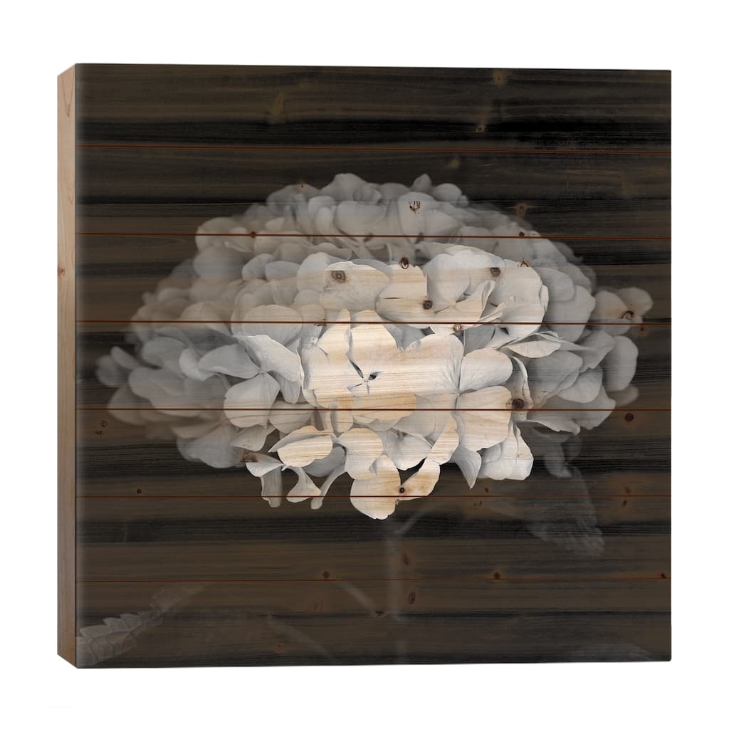 Hydrangea VI, B&W Print On Wood by Magda Indigo - Multi-Color