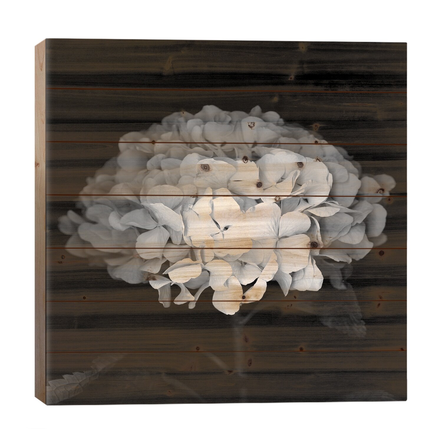 Hydrangea VI, B&W Print On Wood by Magda Indigo - Multi-Color