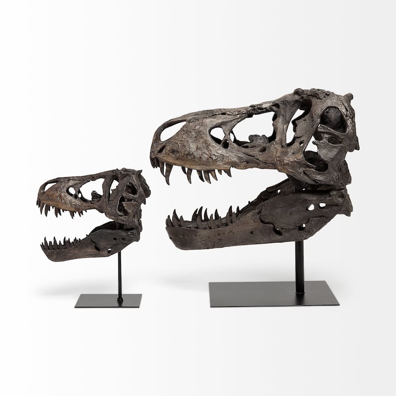 Authentic Replica T Rex Skull Sculpture - 11"W x 19"D x 20"H