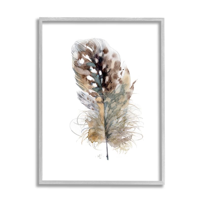 Stupell Speckled Bird Feather Study Brown Animal Watercolor Framed Wall Art - 16 x 20 - Grey