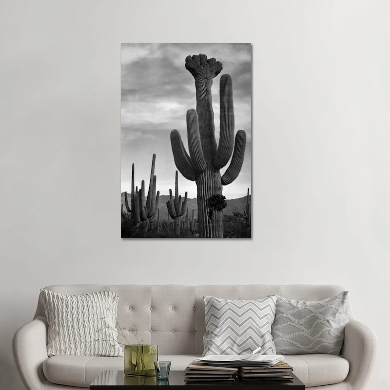 iCanvas "Saguaros, Saguaro National Monument" by Ansel Adams Canvas Print - 48x32x1.5